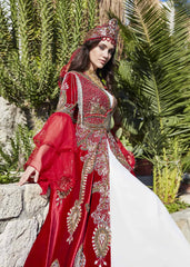 moroccan traditional ethnic caftan dress kaftan