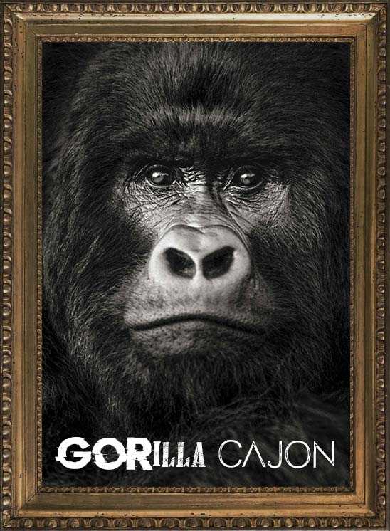 Agean Cajon Gorilla