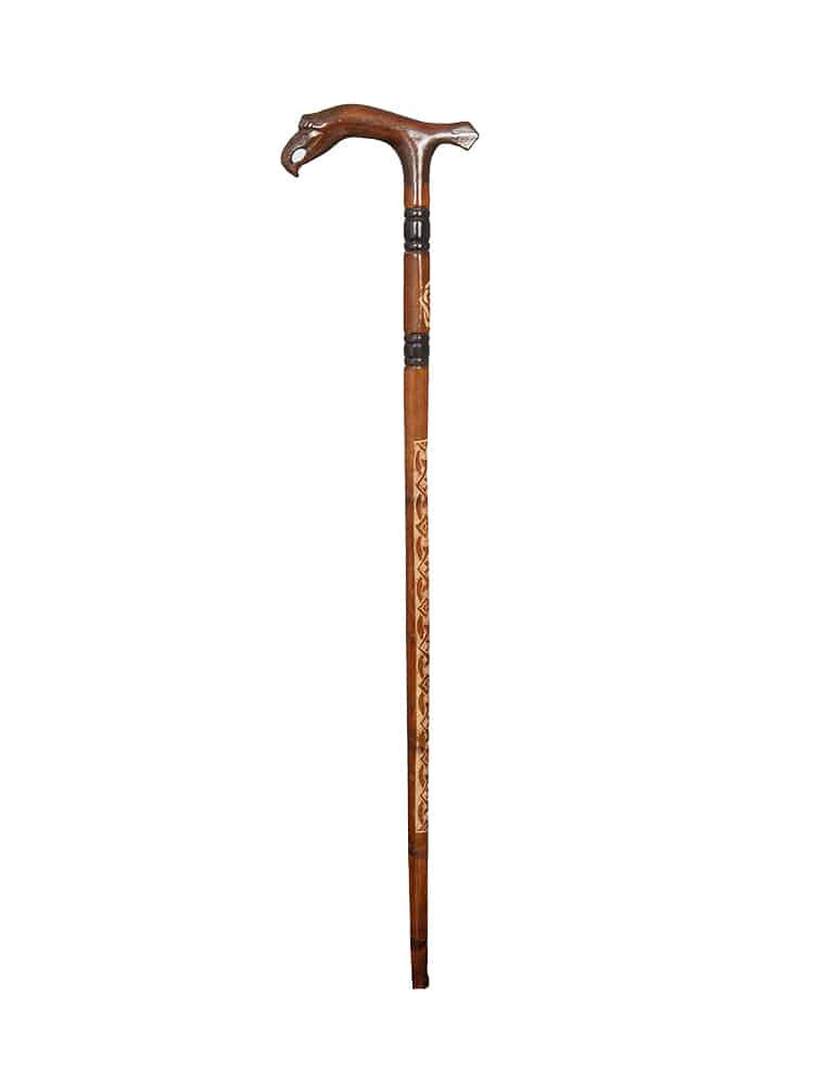 Eagle Head Walking Stick