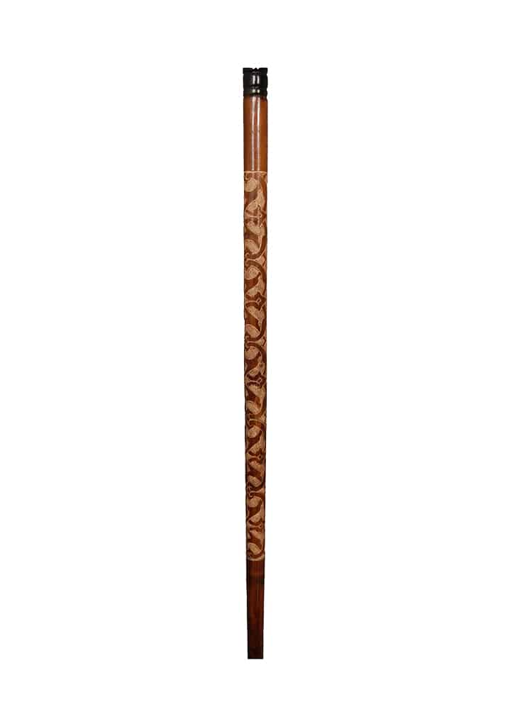 Eagle Head Walking Stick