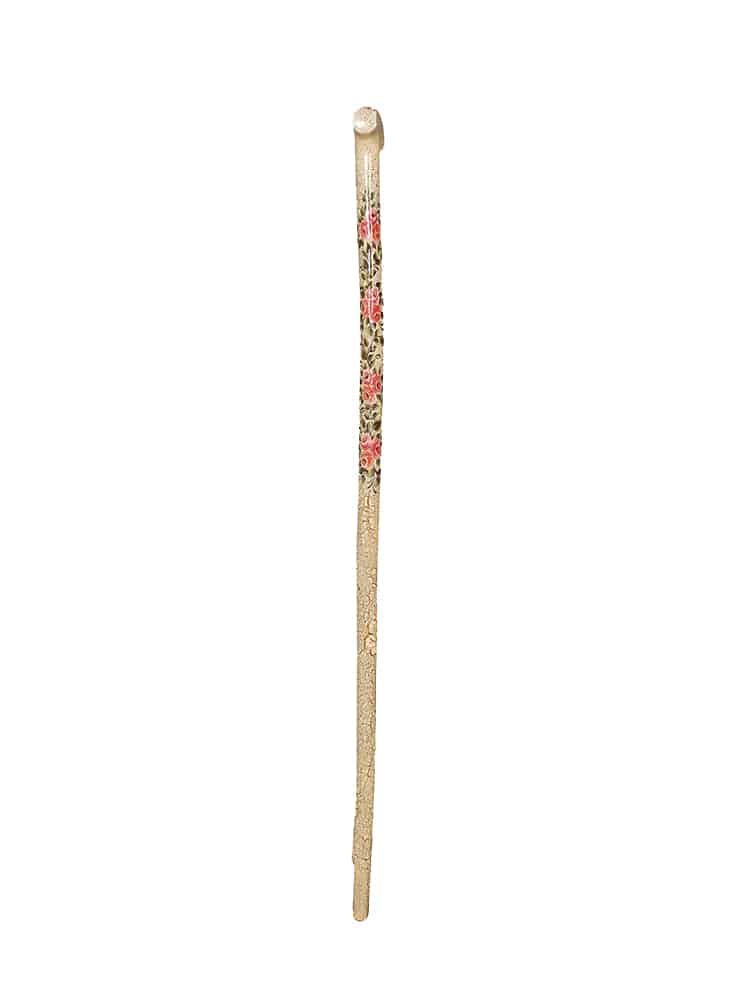 Orthopedic Special Walking Stick