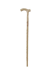 Orthopedic Walking Cane