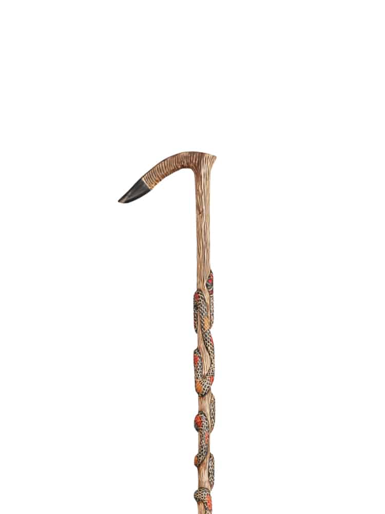 Freeform Hand Carved Walking Cane