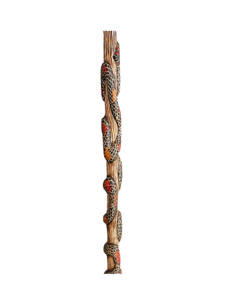 Freeform Hand Carved Walking Cane