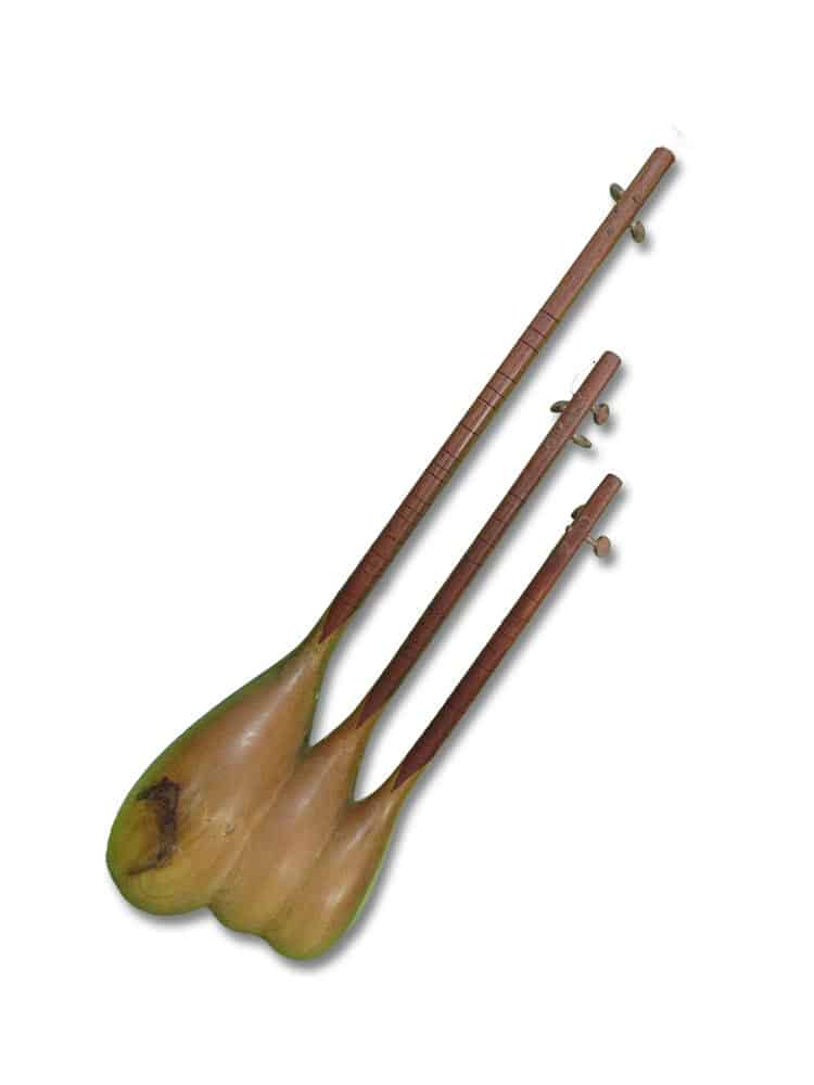 Triplet Instrument