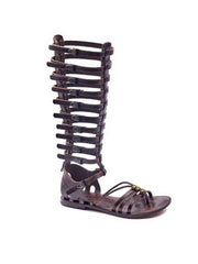 Metallic Toe Thong Brown Gladiator Sandals